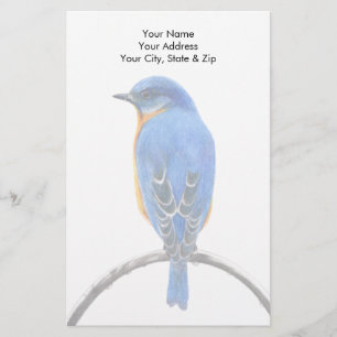 Papelaria Bluebird