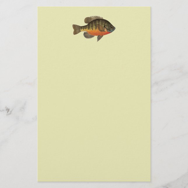 Papelaria Bluegill Bream (Frente)