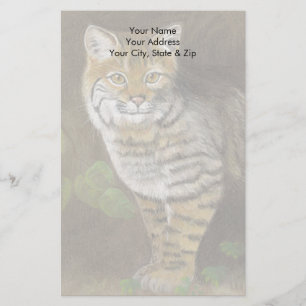 Papelaria Bobcat