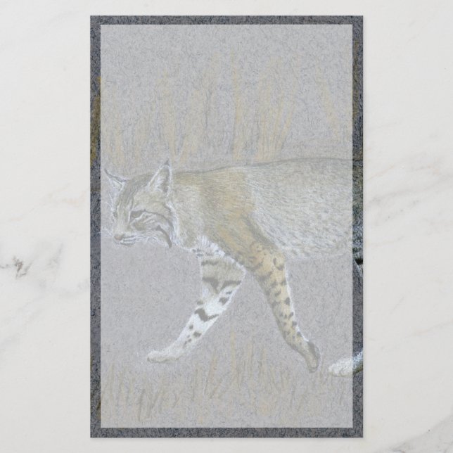 Papelaria Bobcat (Frente)