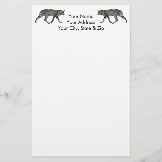 Papelaria Bobcat (Frente)