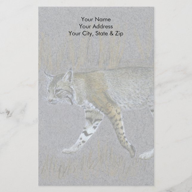 Papelaria Bobcat (Frente)