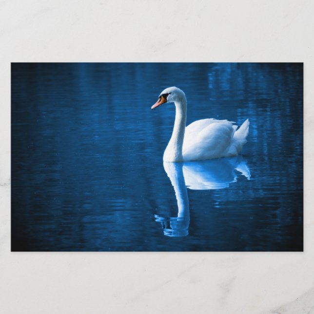 Papelaria Bonito cisne branco flutuando num lago azul (Frente)