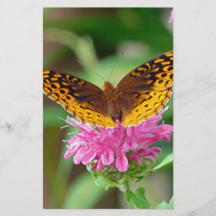 Papelaria Borboleta de Silvery Checkerspot