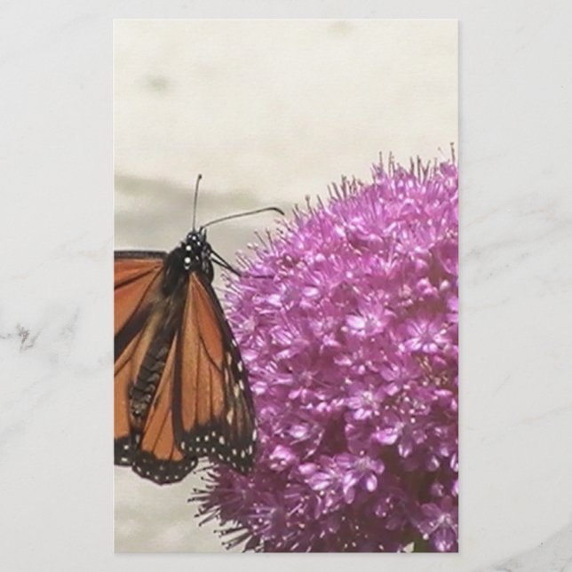 Papelaria Borboleta e Cebola gigante (Frente)