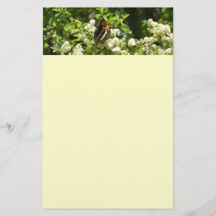Papelaria Borboleta Irmã da Califórnia em Yosemite