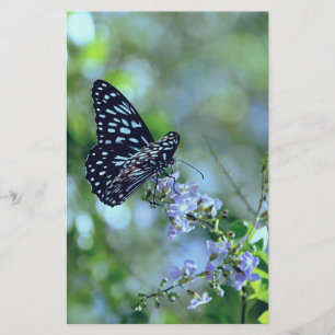 Papelaria Borboleta Preta E Azul