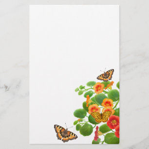 Papelaria Borboletas e Flores de Nastúcio