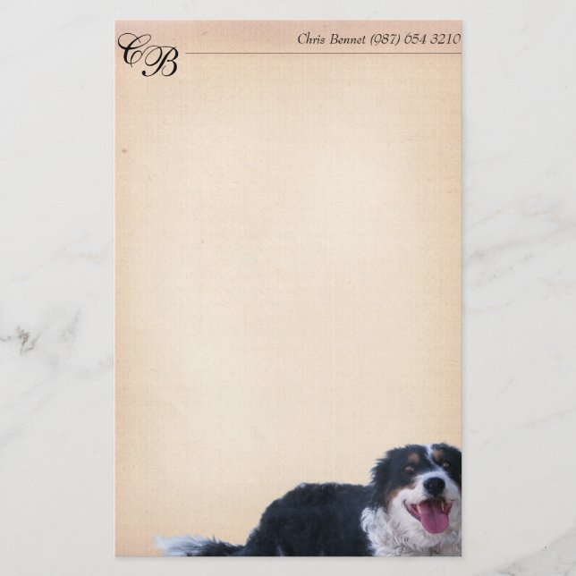 Papelaria Border Collie Mix (Frente)