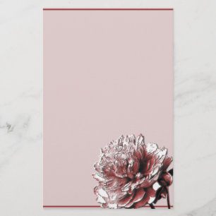 Papelaria Borgonha e Pensão Rosa