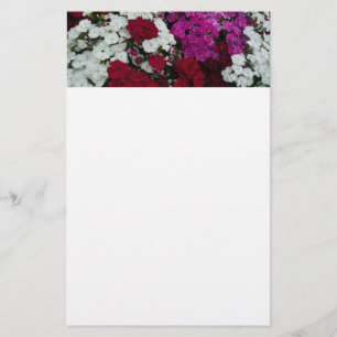 Papelaria Branco, Rosa e Vermelho Dianthus Floral
