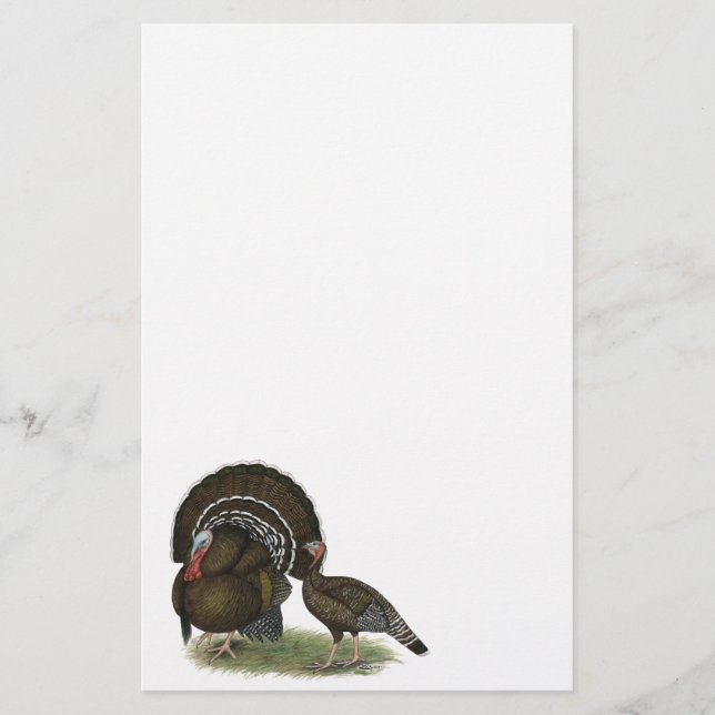 Papelaria Bronze padrão da Turquia (Frente)