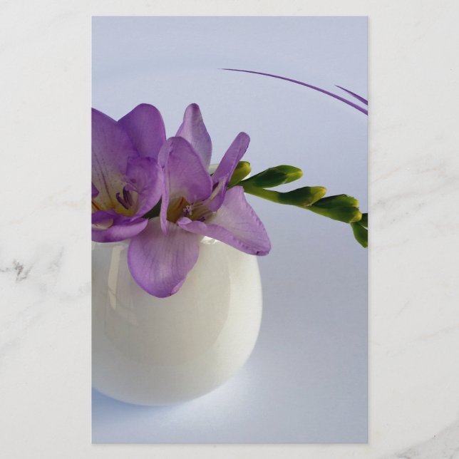 Papelaria buchas de freesia púrpura (Frente)