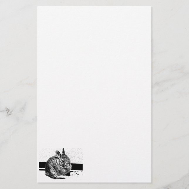 Papelaria Bunny (Frente)