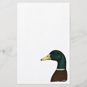 Papelaria Cabeça de Drake do pato selvagem