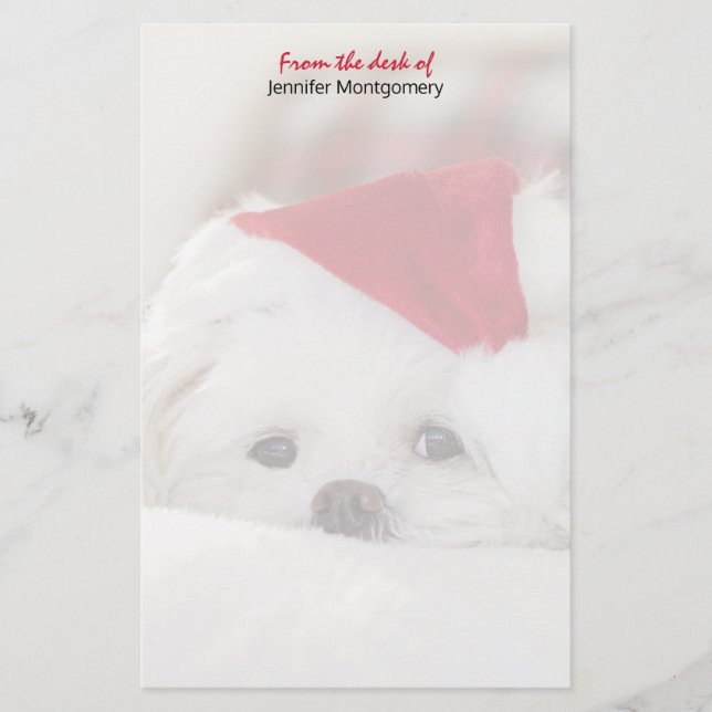 Papelaria Cachorro Branco bonito num chapéu de Natal Vermelh (Frente)