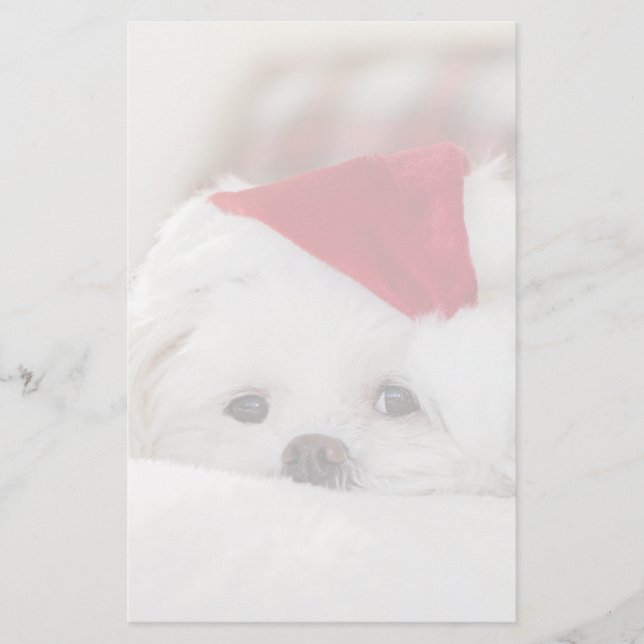 Papelaria Cachorro Branco bonito num chapéu de Natal Vermelh (Frente)