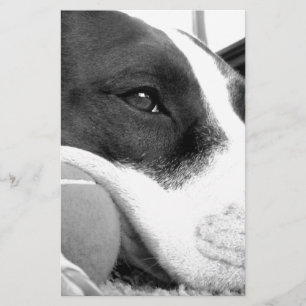 Papelaria cachorro pitbull fofo e triste, preto e branco com