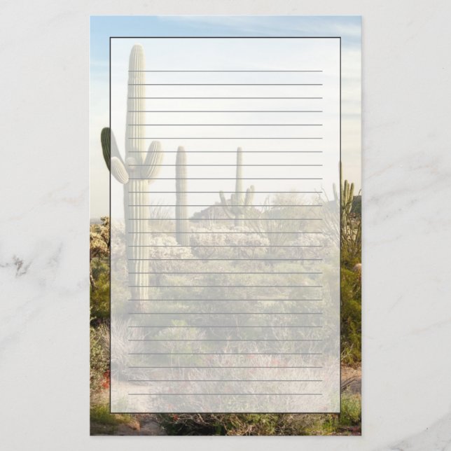 Papelaria Cacto do Saguaro, arizona, EUA (Frente)
