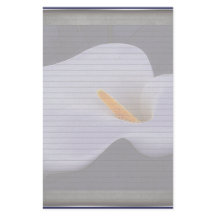 Calla Lily Illustration Linhas opcionais Nota