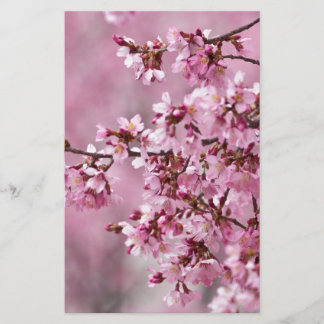 Papelaria Camélias Sakura Camadas Rosa Pastel