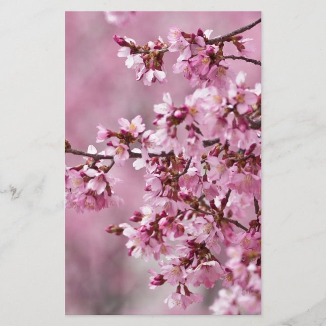 Papelaria Camélias Sakura Camadas Rosa Pastel (Frente)