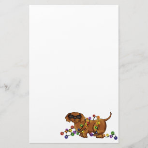 Papelaria Cão brilhante