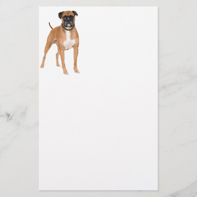 Papelaria Cão do pugilista (Frente)