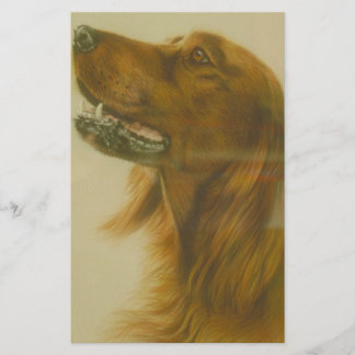 Papelaria Cão irlandês do setter vermelho