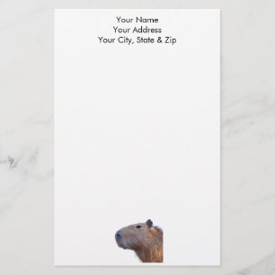 Papelaria Capybara