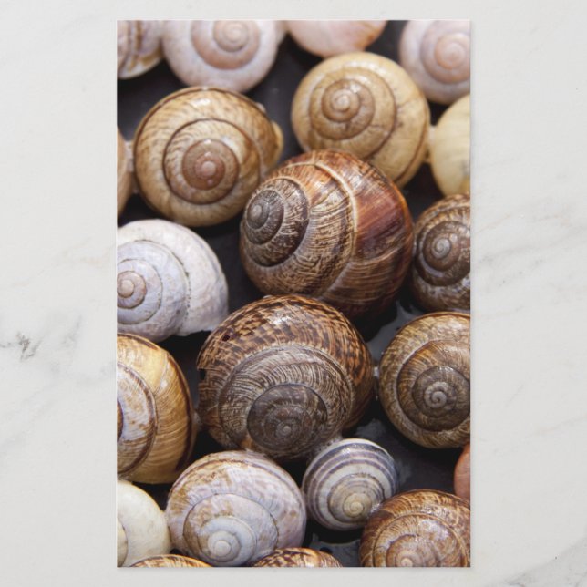 Papelaria Caracóis (Frente)