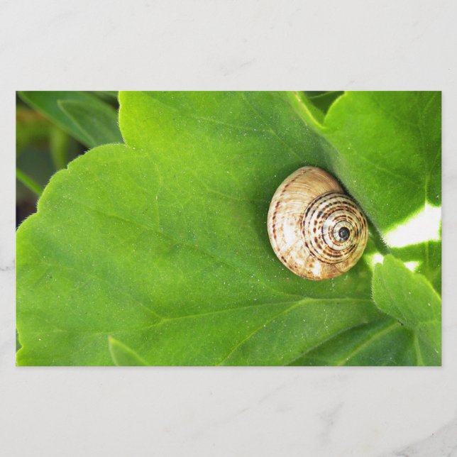 Papelaria caracol (Frente)