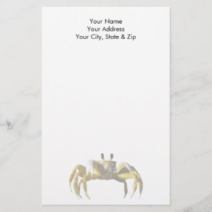 Papelaria Caranguejo