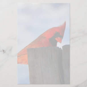 Papelaria Cardinal Vermelho sobre o Stump de Wooden