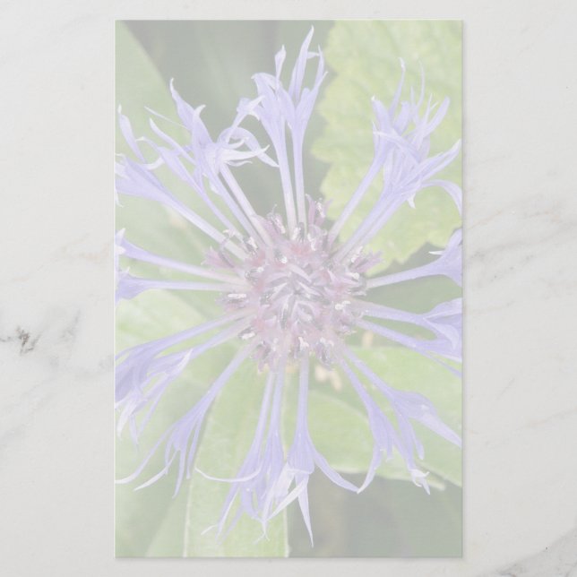 Papelaria Carta Azul de Cornflower (Frente)