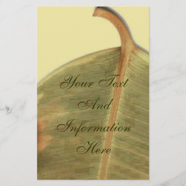 Papelaria Carta de Licença Verde (Frente)