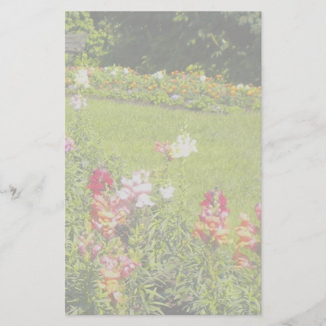 Papelaria Carta de Snapdragon (Frente)