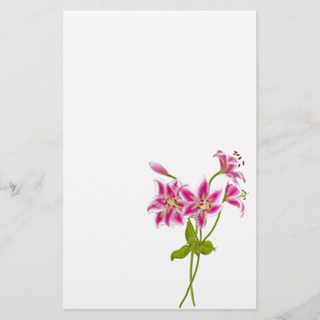 Papelaria Carta Lily Tiger Rosa (Frente)