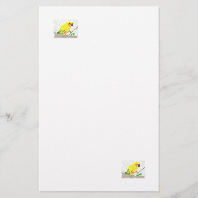 Papelaria Carta Sun Conure (Frente)