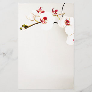 Papelaria Carta White Orchids
