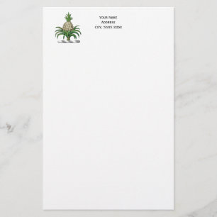 Papelaria Casaco de Ananás Herádico de Pré-Papoeira