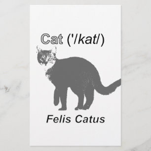 Papelaria Cat Felis Catus