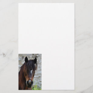 Papelaria Cavalo bonito de Brown