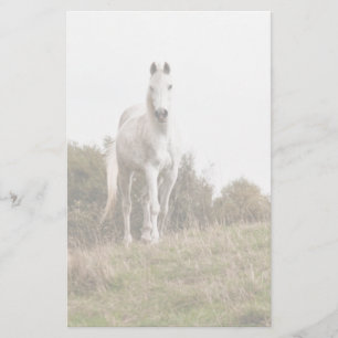 Papelaria Cavalo branco