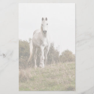 Papelaria Cavalo branco