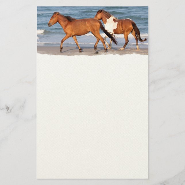 Papelaria Cavalo de Praia Sunset (Frente)
