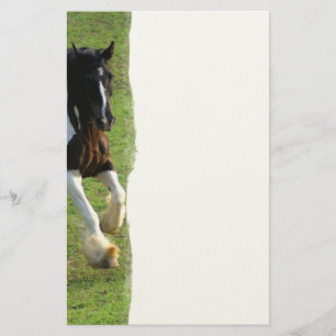 Papelaria Cavalo de Vanner Cigano