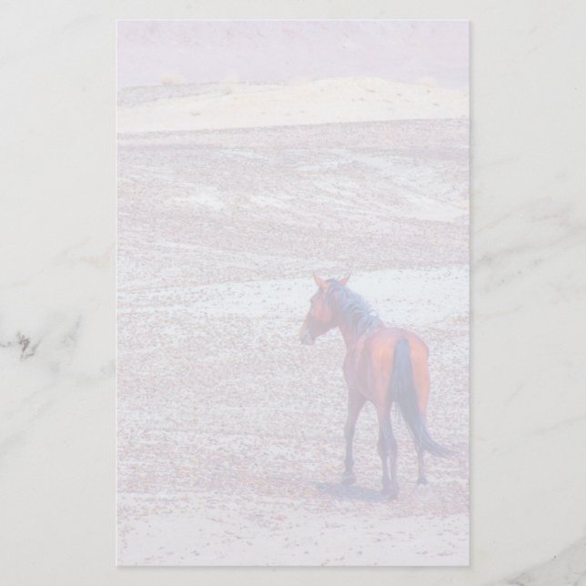 Papelaria Cavalo do Deserto P8640 (Frente)