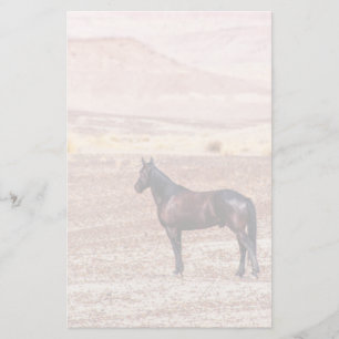 Papelaria Cavalo do Deserto P8664