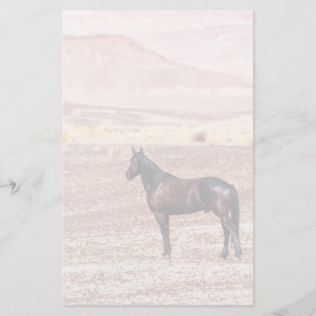 Papelaria Cavalo do Deserto P8664 (Frente)